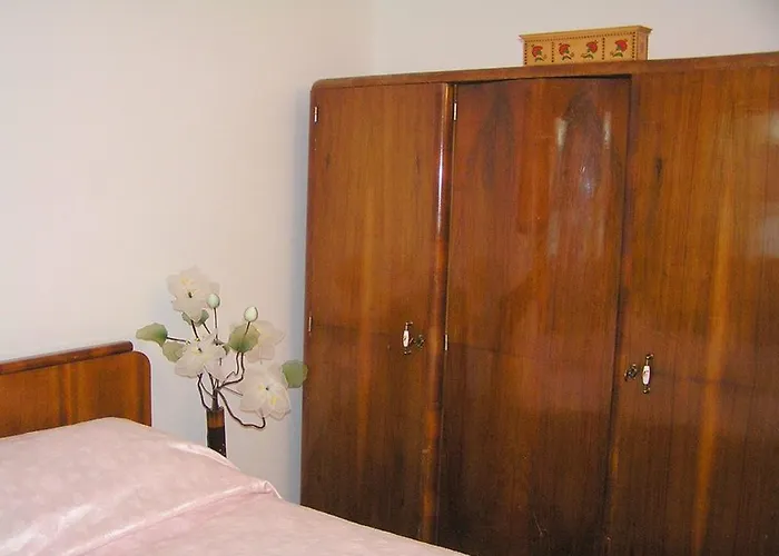 Camellia & Magnolia *