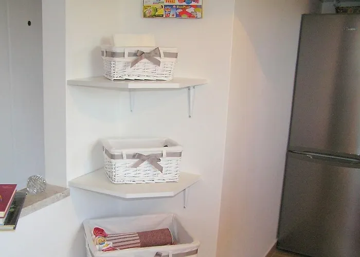 Camellia & Magnolia * Volosko