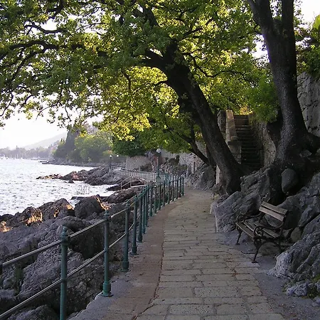 Camellia & Magnolia 아파트