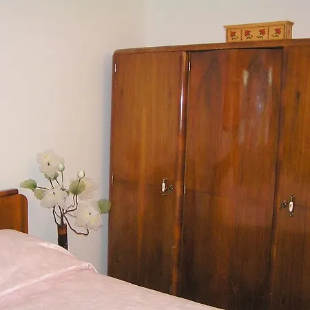 Camellia & Magnolia *