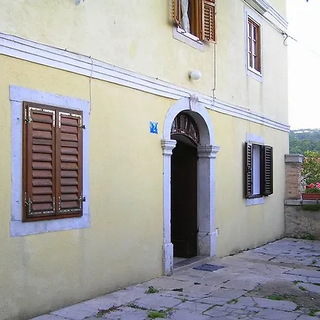 Camellia & Magnolia *