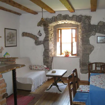 Camellia & Magnolia *