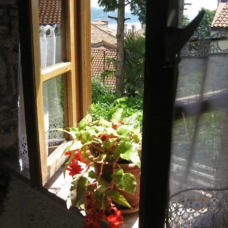 Camellia & Magnolia * 볼로스코