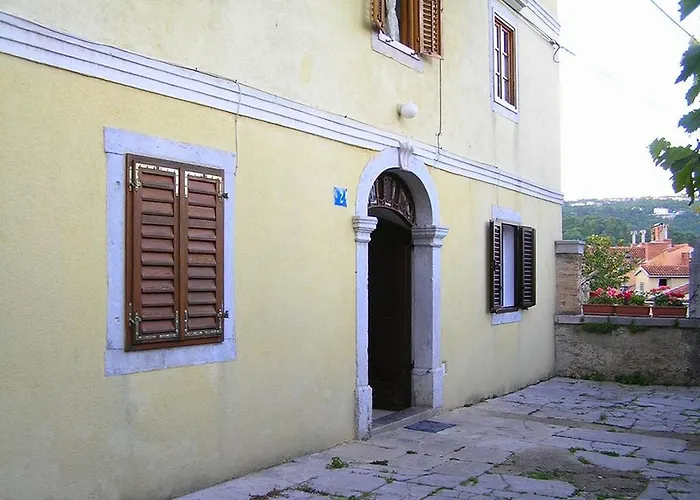Camellia & Magnolia *