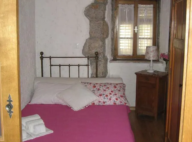 Camellia & Magnolia Volosko