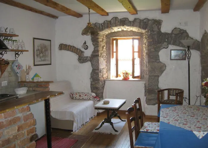 Camellia & Magnolia *