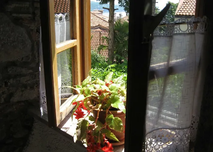 Camellia & Magnolia * Volosko