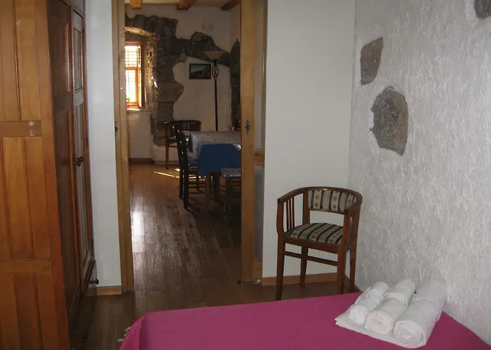 Apartment Camellia & Magnolia